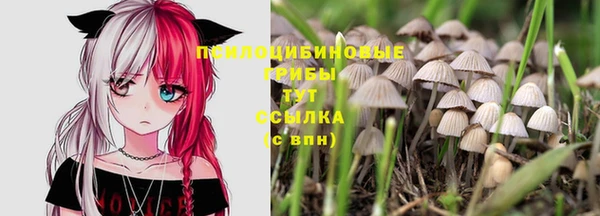 каннабис Арсеньев