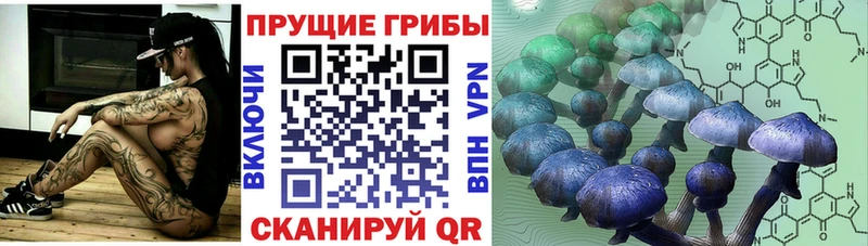 даркнет Telegram  Асбест  Псилоцибиновые грибы Psilocybine cubensis 