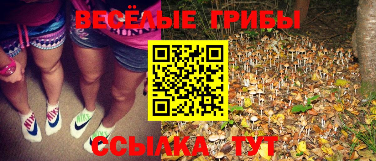 Псилоцибиновые грибы Magic Shrooms  Вход с VPN  Асбест  Галлюциногенные грибы MAGIC MUSHROOMS 