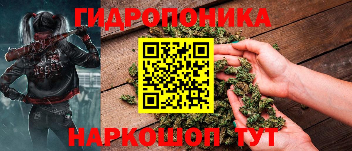 Марихуана конопля  Шишки марихуана планчик  Вход с VPN  Асбест 